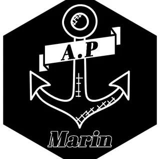logga på AP Marin